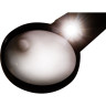 Лупа ручная LEVENHUK ZENO HANDY ZH39 74062